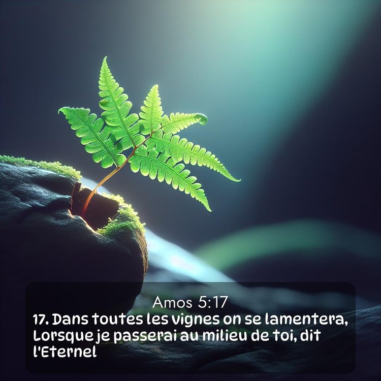 image nature avec verset biblique de la Bible