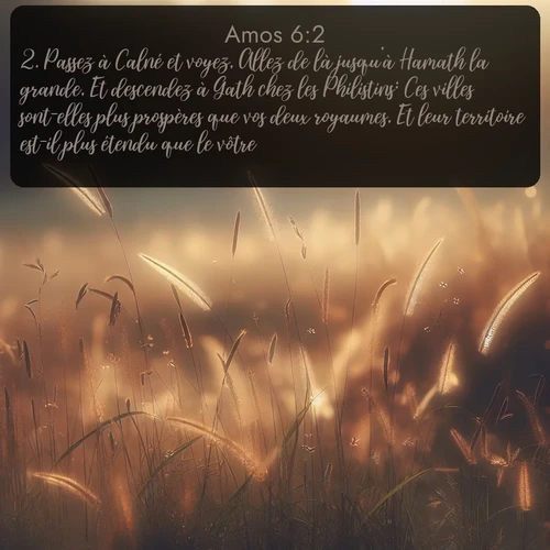 Segond Amos  ; image nature: image avec le verset biblique :Passez à Calné et voyez, Allez de là jusqu&#039;à Hamath la grande, Et descendez à Gath chez les Philistins: Ces villes sont-elles plus prospères que vos deux royaumes, Et leur territoire est-il plus étendu que le vôtre?... ;  ; 6:2