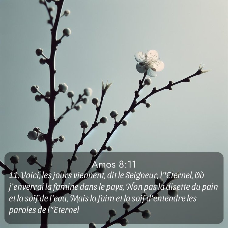 image nature avec verset biblique de la Bible
