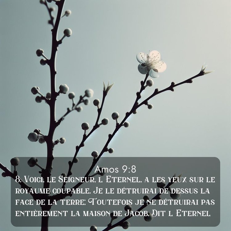 image nature avec verset biblique de la Bible