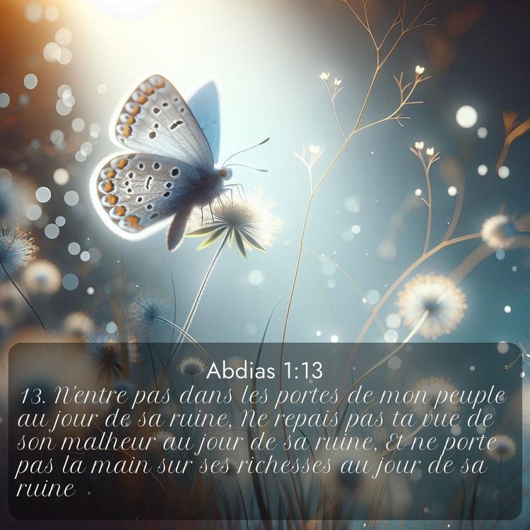 Segond Abdias 1:13