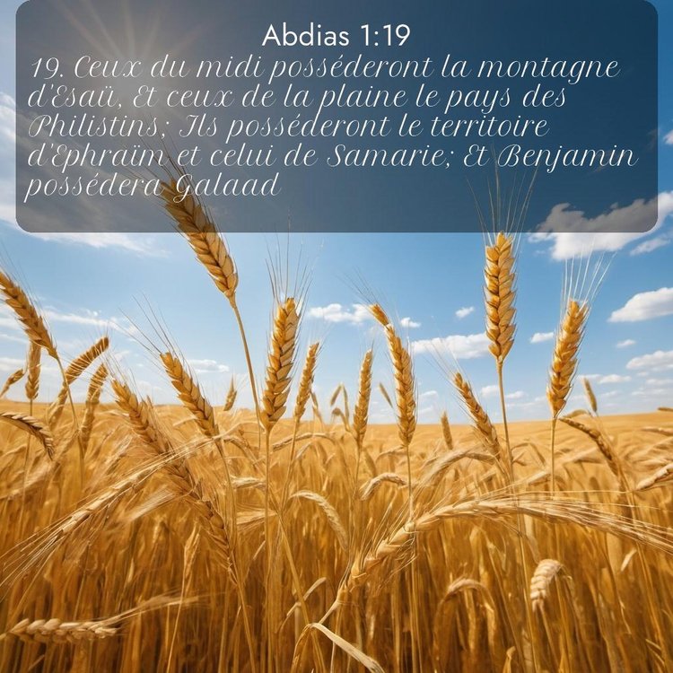 Segond Abdias 1:19