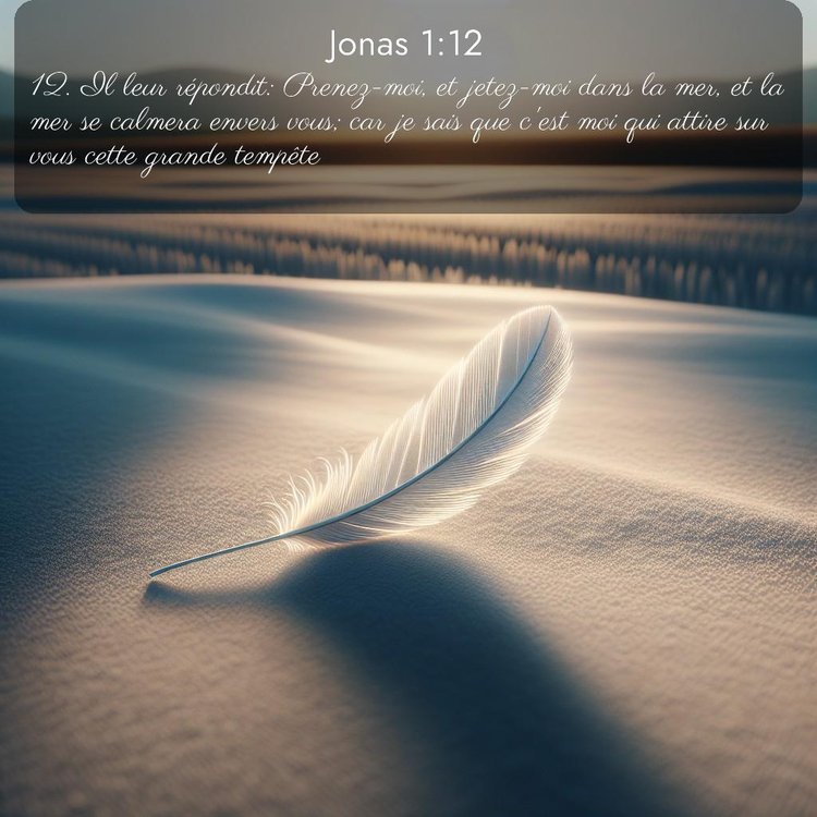 Segond Jonas 1:12