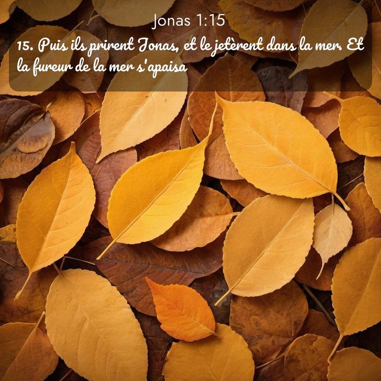 Segond Jonas 1:15