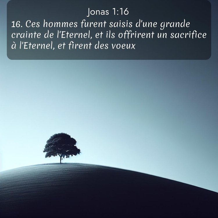 Segond Jonas 1:16