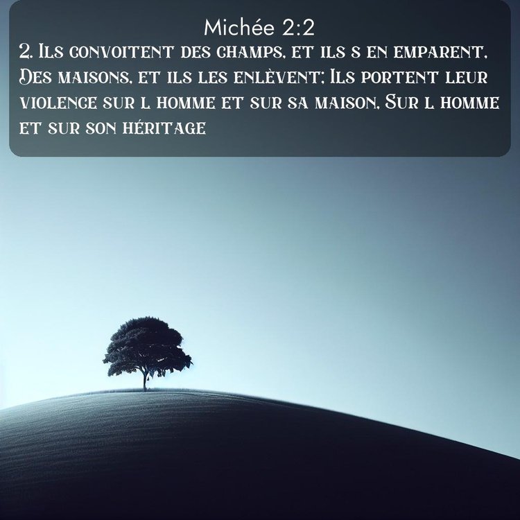 Segond Michée 2:2