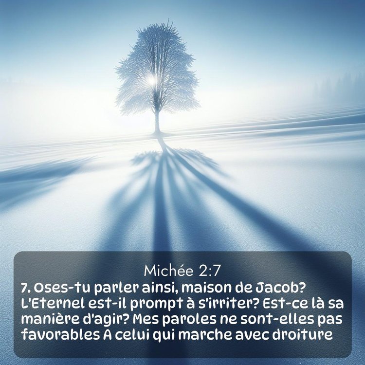 Segond Michée 2:7