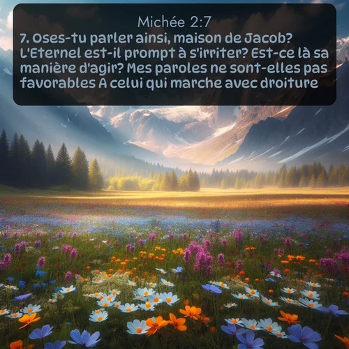 Segond Michée  ; image nature: image avec le verset biblique :Oses-tu parler ainsi, maison de Jacob? L&#039;Eternel est-il prompt à s&#039;irriter? Est-ce là sa manière d&#039;agir? Mes paroles ne sont-elles pas favorables A celui qui marche avec droiture? ;  ; 2:7