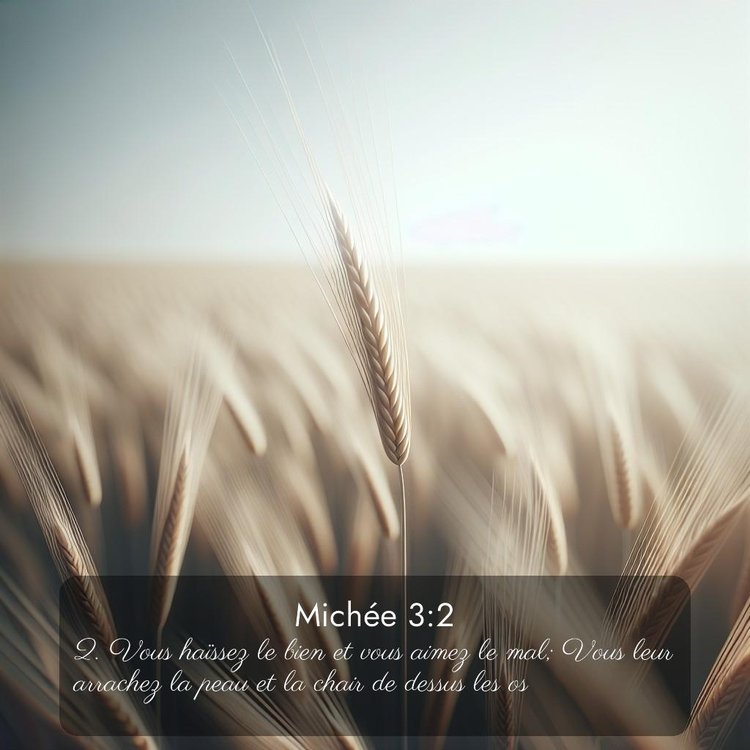 image nature avec verset biblique de la Bible