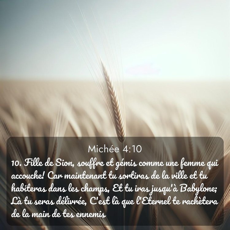 Segond Michée 4:10