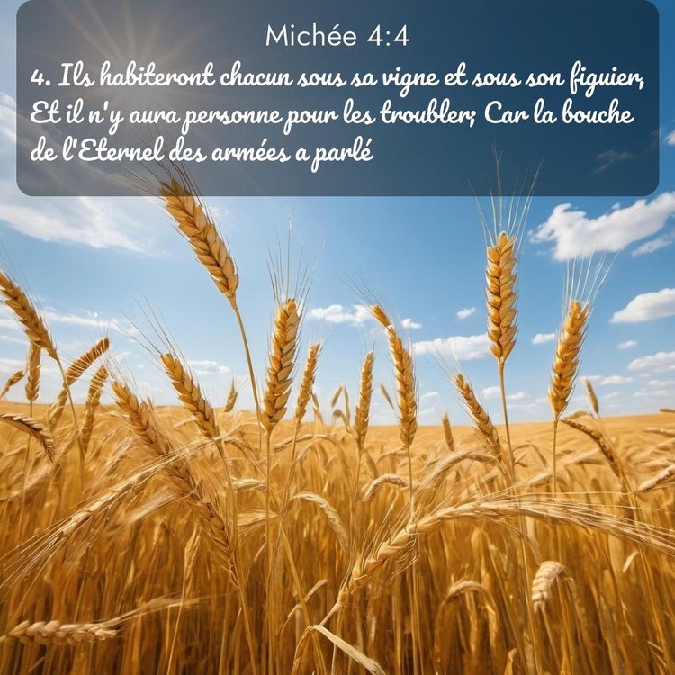 Segond Michée 4:4