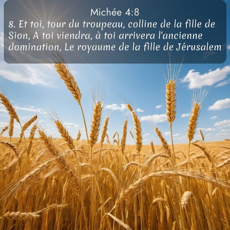 image nature avec verset biblique de la Bible
