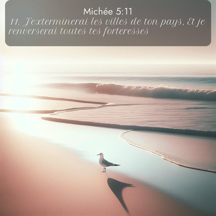 Segond Michée 5:11