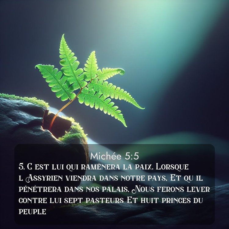 Segond Michée 5:5