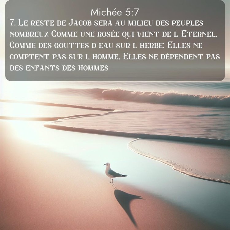 Segond Michée 5:7