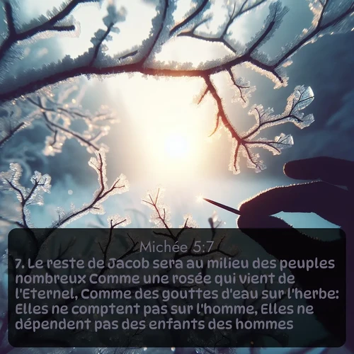 Segond Michée  ; image nature: image avec le verset biblique :Le reste de Jacob sera au milieu des peuples nombreux Comme une rosée qui vient de l&#039;Eternel, Comme des gouttes d&#039;eau sur l&#039;herbe: Elles ne comptent pas sur l&#039;homme, Elles ne dépendent pas des enfants des hommes. ;  ; 5:7