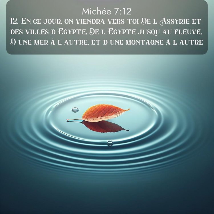 Segond Michée 7:12