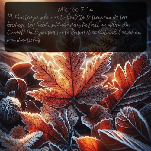 Segond Michée  ; image nature: image avec le verset biblique :Pais ton peuple avec ta houlette, le troupeau de ton héritage, Qui habite solitaire dans la forêt au milieu du Carmel! Qu&#039;ils paissent sur le Basan et en Galaad, Comme au jour d&#039;autrefois. - ;  ; 7:14