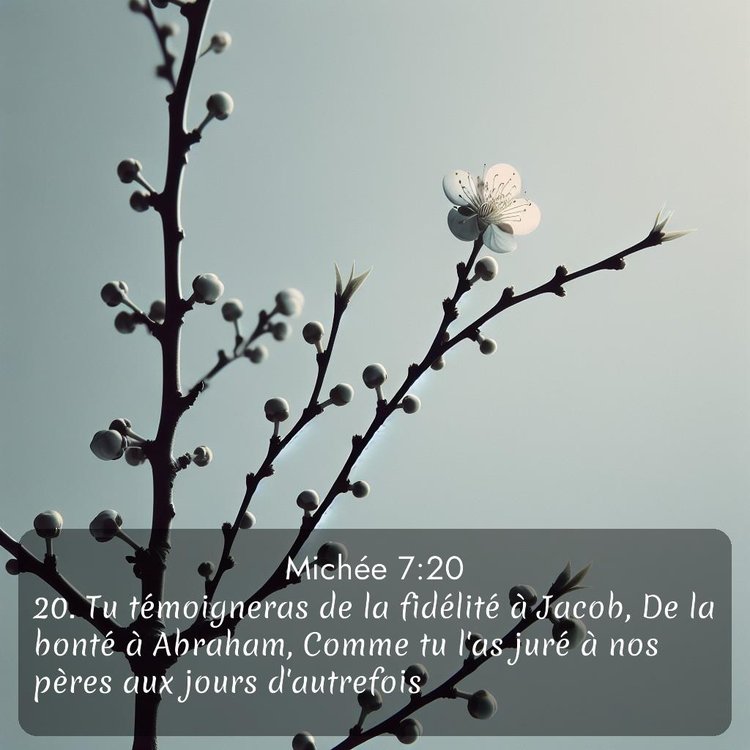 image nature avec verset biblique de la Bible