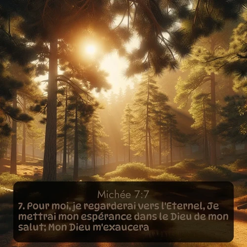 Segond Michée  ; image nature: image avec le verset biblique :Pour moi, je regarderai vers l&#039;Eternel, Je mettrai mon espérance dans le Dieu de mon salut; Mon Dieu m&#039;exaucera. ;  ; 7:7