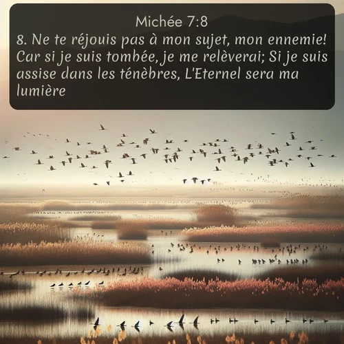 Segond Michée  ; image nature: image avec le verset biblique :Ne te réjouis pas à mon sujet, mon ennemie! Car si je suis tombée, je me relèverai; Si je suis assise dans les ténèbres, L&#039;Eternel sera ma lumière. ;  ; 7:8