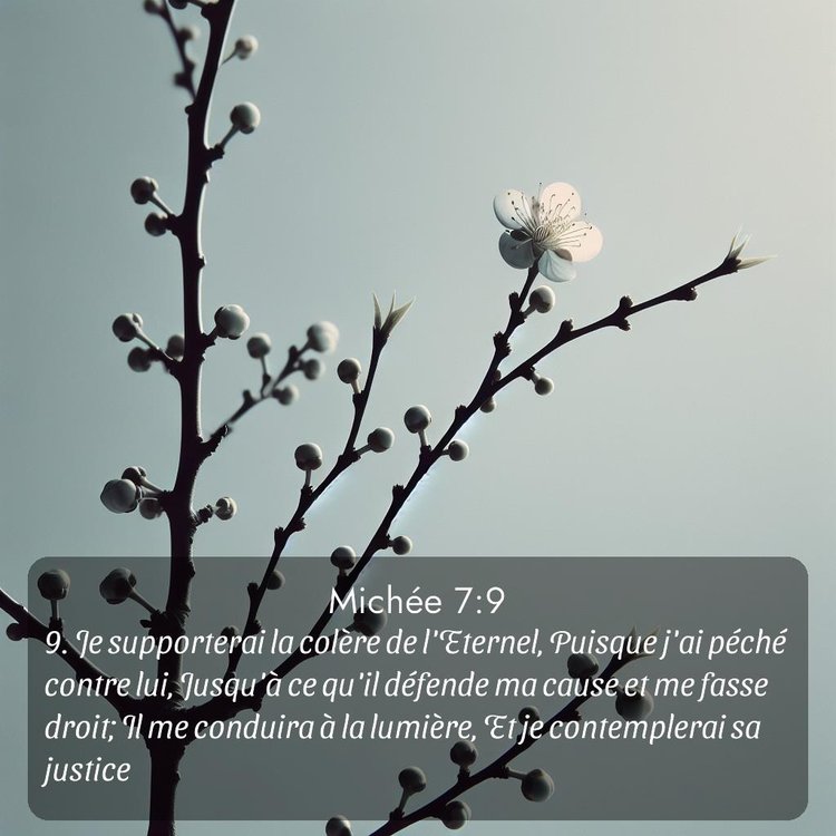 image nature avec verset biblique de la Bible