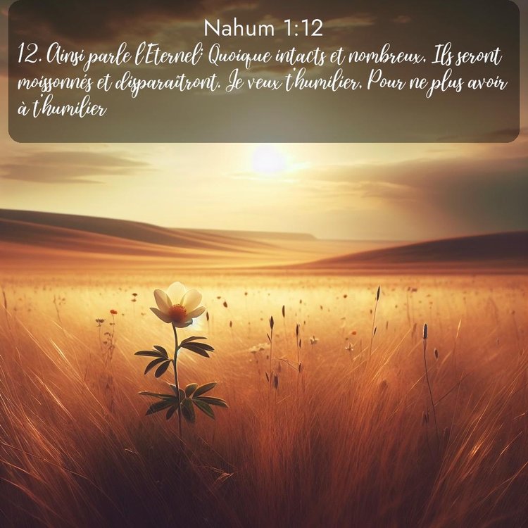 Segond Nahum 1:12