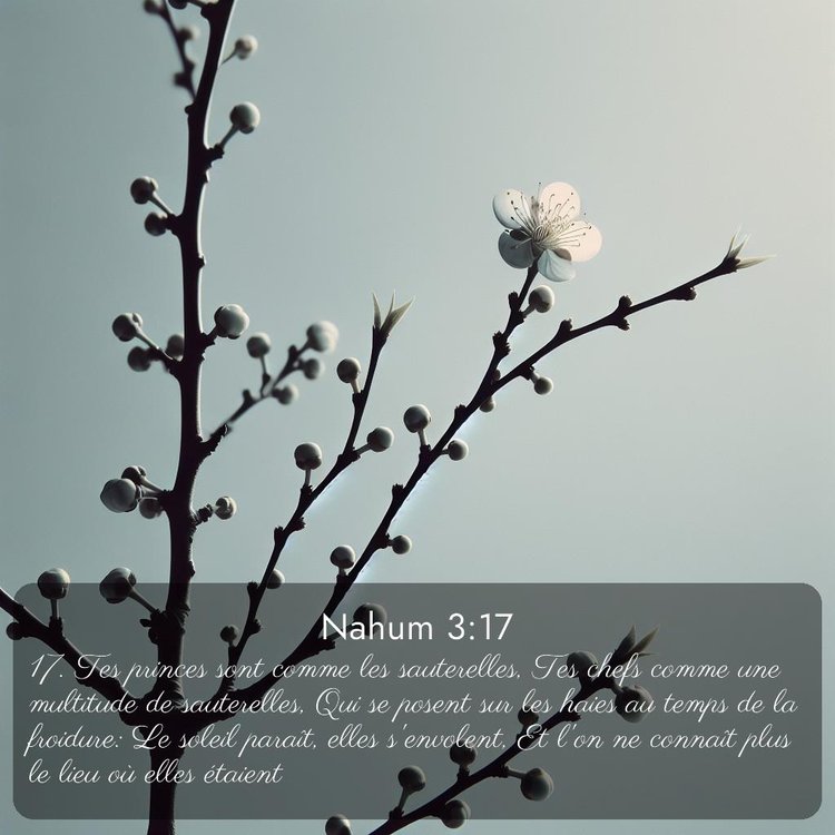 Segond Nahum 3:17