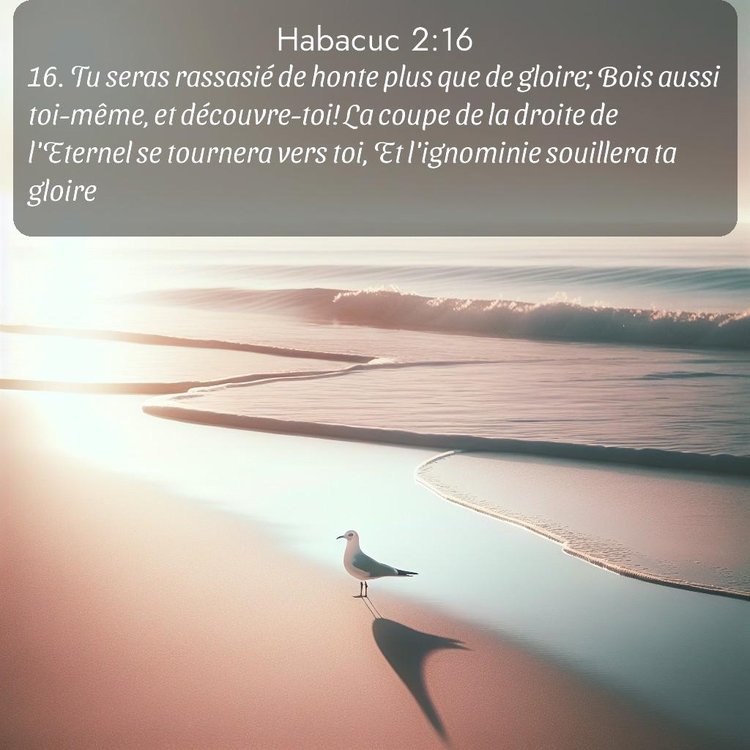 Segond Habacuc 2:16