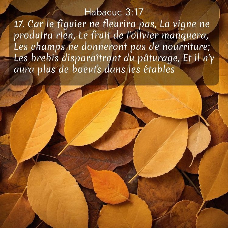 image nature avec verset biblique de la Bible