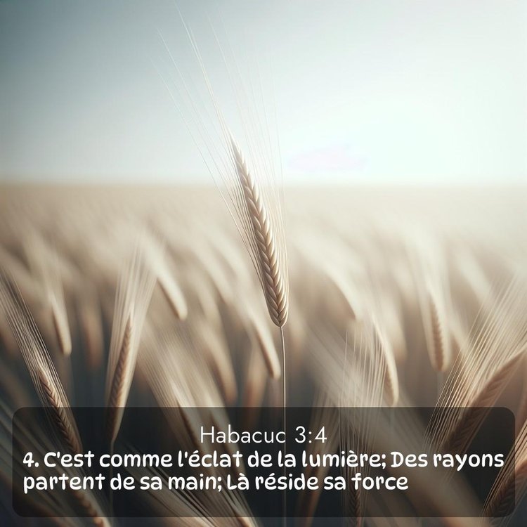 Segond Habacuc 3:4