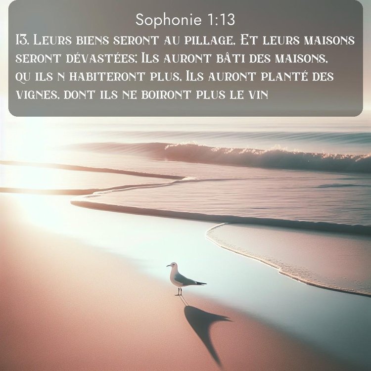 Segond Sophonie 1:13