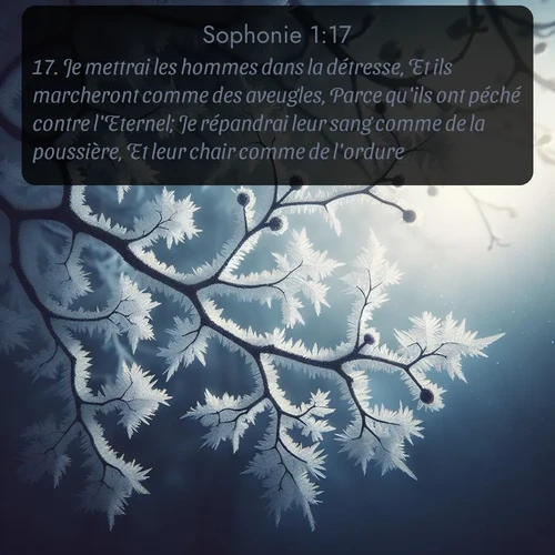Segond Sophonie  ; image nature: image avec le verset biblique :Je mettrai les hommes dans la détresse, Et ils marcheront comme des aveugles, Parce qu&#039;ils ont péché contre l&#039;Eternel; Je répandrai leur sang comme de la poussière, Et leur chair comme de l&#039;ordure. ;  ; 1:17