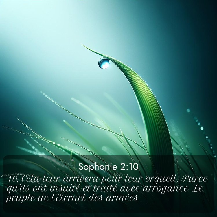 Segond Sophonie 2:10