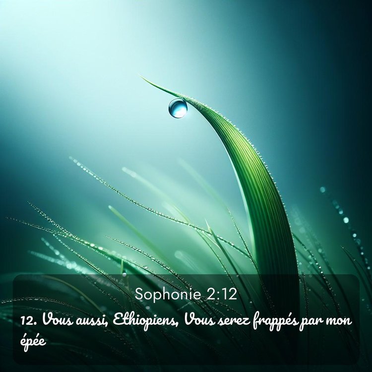 Segond Sophonie 2:12