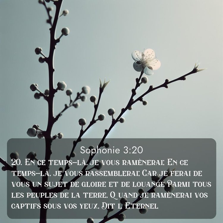 image nature avec verset biblique de la Bible