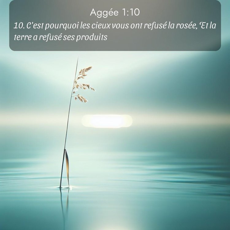 Segond Aggée 1:10