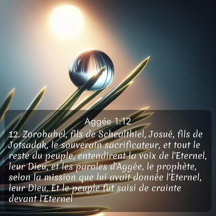 Segond Aggée 1:12