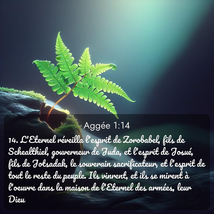 Segond Aggée 1:14