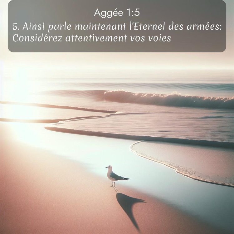 Segond Aggée 1:5