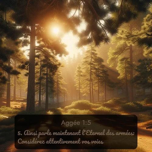 Segond Aggée  ; image nature: image avec le verset biblique :Ainsi parle maintenant l&#039;Eternel des armées: Considérez attentivement vos voies! ;  ; 1:5