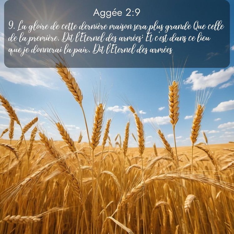 Segond Aggée 2:9