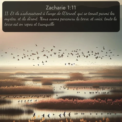 Segond Zacharie  ; image nature: image avec le verset biblique :Et ils s&#039;adressèrent à l&#039;ange de l&#039;Eternel, qui se tenait parmi les myrtes, et ils dirent: Nous avons parcouru la terre, et voici, toute la terre est en repos et tranquille. ;  ; 1:11