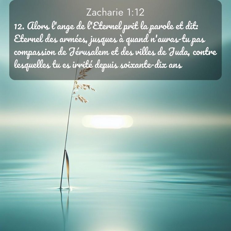 Segond Zacharie 1:12