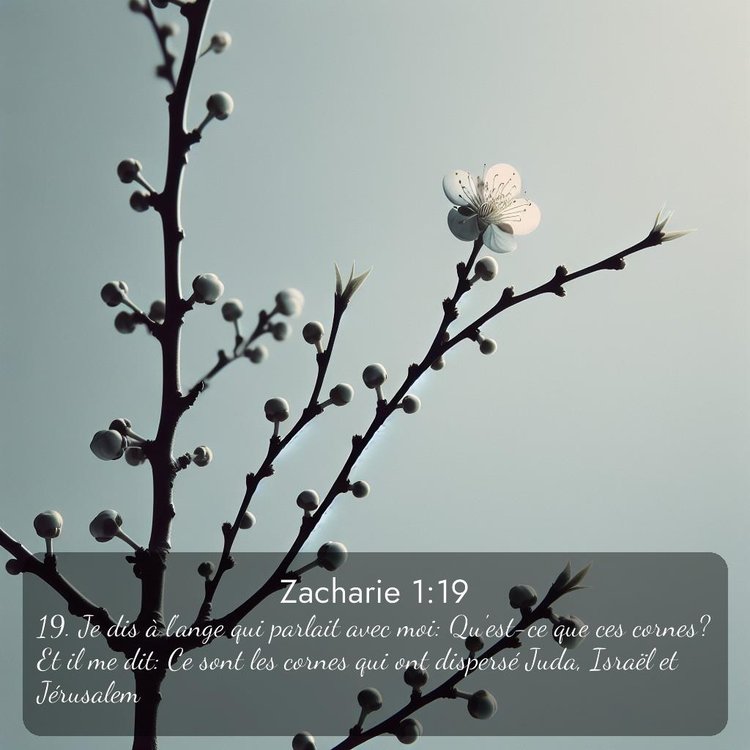 Segond Zacharie 1:19