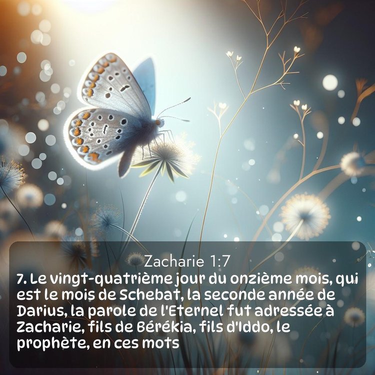 Segond Zacharie 1:7