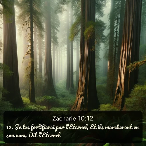 Segond Zacharie  ; image nature: image avec le verset biblique :Je les fortifierai par l&#039;Eternel, Et ils marcheront en son nom, Dit l&#039;Eternel. ;  ; 10:12