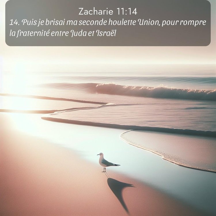image nature avec verset biblique de la Bible