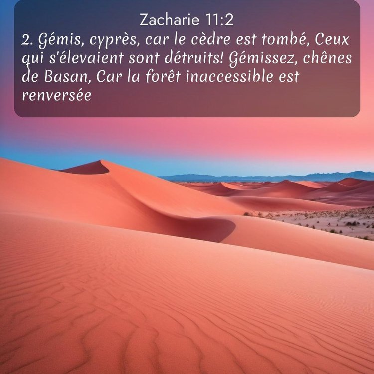 Segond Zacharie 11:2