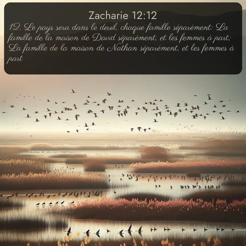 Segond Zacharie  ; image nature: image avec le verset biblique :Le pays sera dans le deuil, chaque famille séparément: La famille de la maison de David séparément, et les femmes à part; La famille de la maison de Nathan séparément, et les femmes à part; ;  ; 12:12